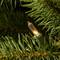 4.5 ft. Pre-lit Feel Real® Downswept Douglas Full Artificial Christmas Tree, Clear Lights